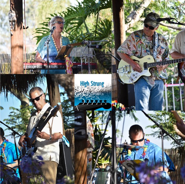 High Strung Collage 1